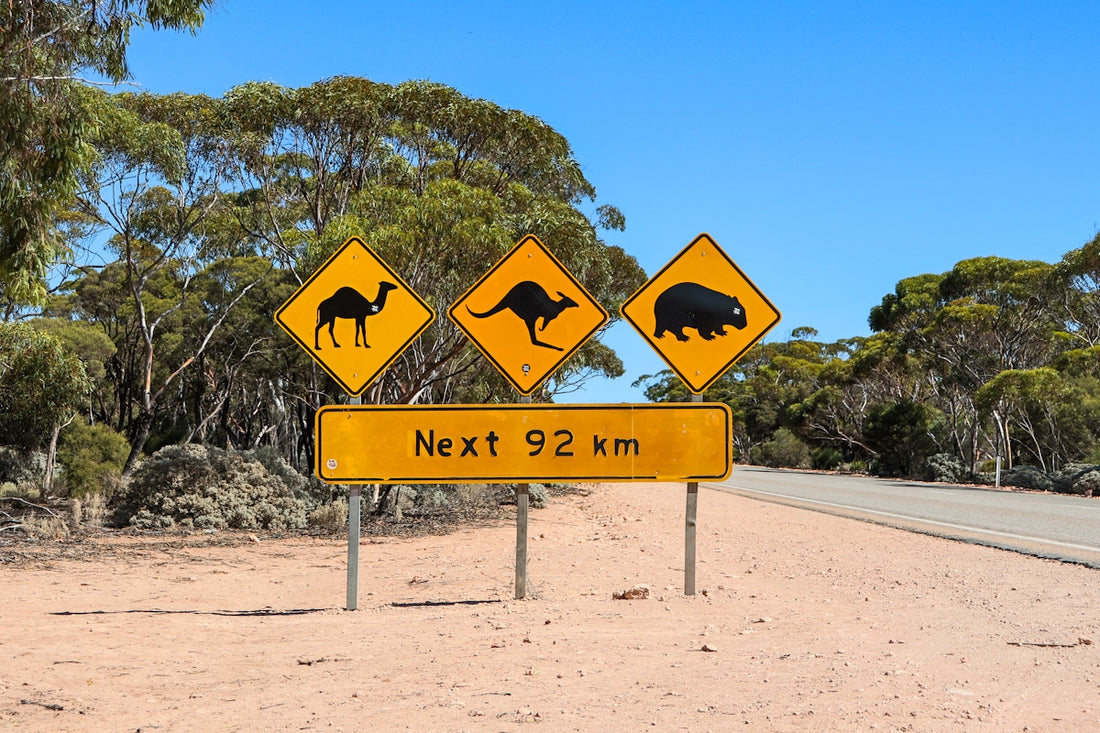 Australian wildlife crossing sign on the road.